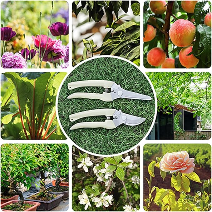 Premium garden shears, meperez pruning scissors gardening tools, pruners - Image 6