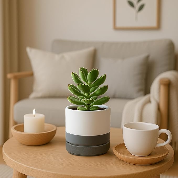 D'vine Dev Set of 4 Small Ceramic Plant Pots, 4.7 Inch Succulent Planter Pot - Image 6