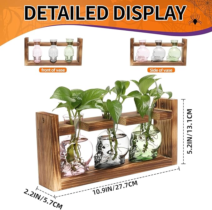 Plant Terrarium Propagation Stations Hydroponics Halloween Skull Planter Vase - Image 3