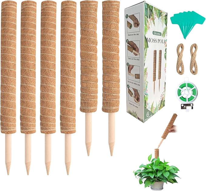 6 Pack Moss Poles for Monstera Plant Support – Stackable Moss Pole for Plants by Qicodu