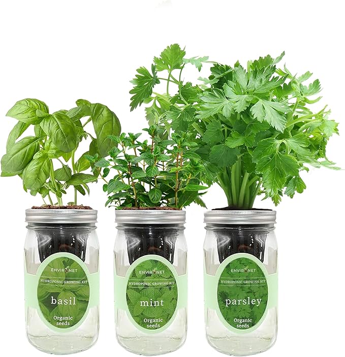 Hydroponic Herb Growing Kit Set, Self-Watering Mason Jar Herb Garden Starter by Environet