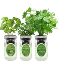 Hydroponic Herb Growing Kit Set, Self-Watering Mason Jar Herb Garden Starter by Environet