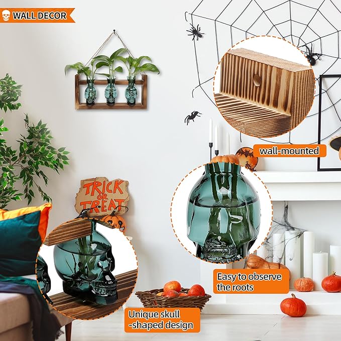 Plant Terrarium Propagation Stations Hydroponics Halloween Skull Planter Vase - Image 2