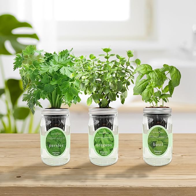 Hydroponic Herb Growing Kit Set, Self-Watering Mason Jar Herb Garden Starter - Image 5