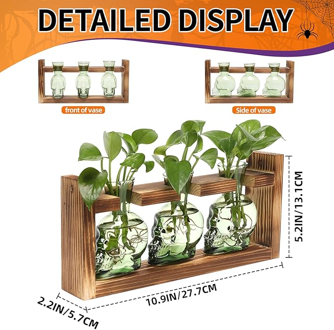 Plant Terrarium Propagation Stations Hydroponics Halloween Skull Planter Vase - Image 3