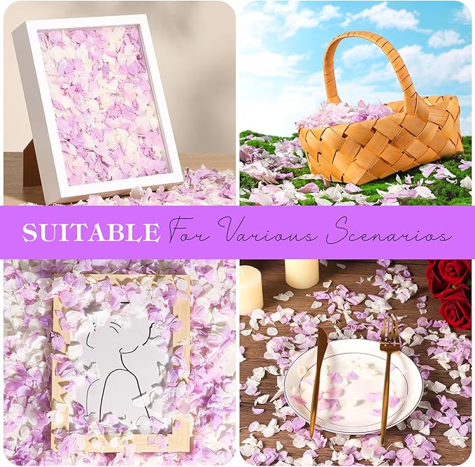 2500 PCS Purple and White Hydrangea Petals 100% Natural Real Flower Petals - Image 6