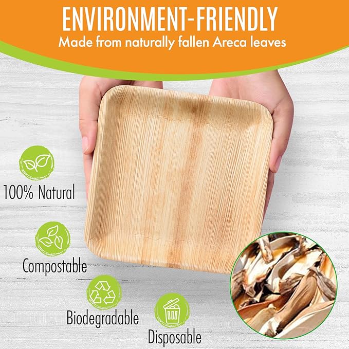 Raj Palm Leaf Plates Bulk 10" & 7" Square Plates like Bamboo plates Disposable - Image 2