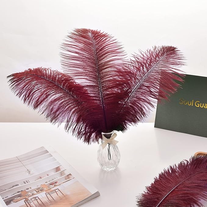 Ballinger Big Burgundy Ostrich Feathers - Image 6