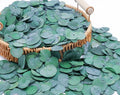 3200Preserved Real Eucalyptus Leaves Small, Pure Natural Bulk Eucalyptus by Glicrili