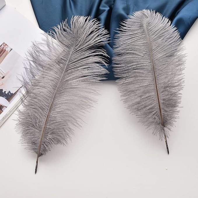 Ballinger Natural Gray Ostrich Feathers - Image 4