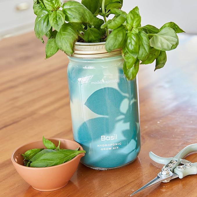 Modern Sprout New & Improved Mason Jar Grow Set, Indoor Herb Garden, Seed - Image 9