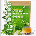 FreshDrinkUS, 120+ Premium Soursop Graviola Dried Leaves Tea, 40 Cups, 120-130 by NaturalandPremiumHerbalTea