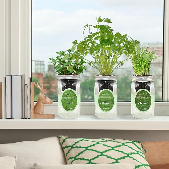 Hydroponic Herb Growing Kit Set, Self-Watering Mason Jar Herb Garden Starter - Image 4