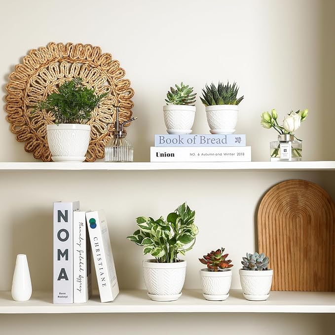 Sureasy Succulent Pots, 3.5 Inch Flower Pots - Image 7