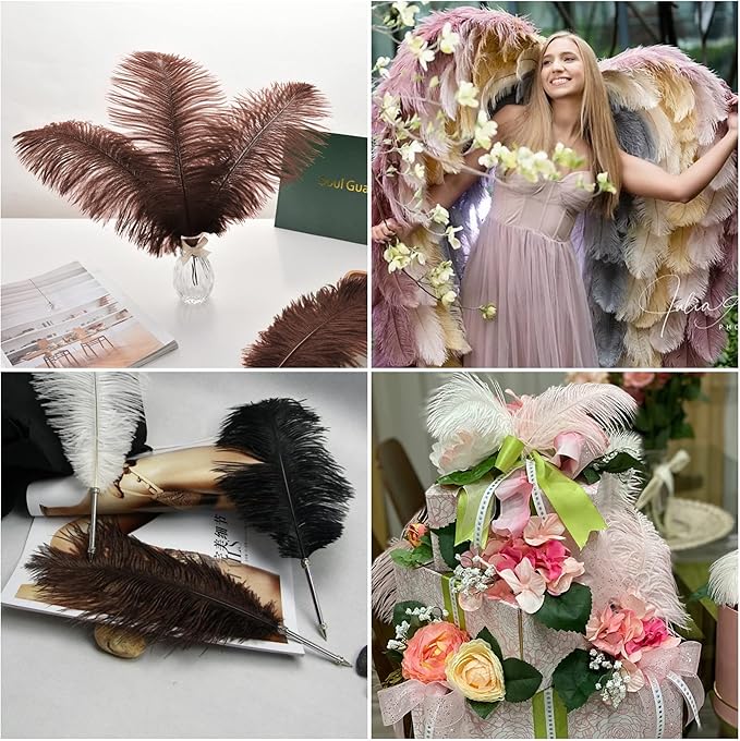 Ballinger Brown Big Ostrich Feathers - Image 6