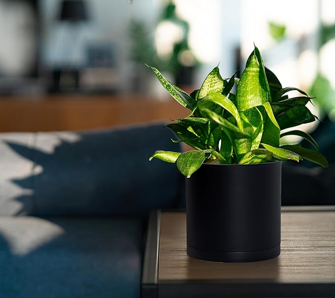D'vine Dev 2 Pack 5.5 Inch Modern Plastic Plant Pots, Small Garden Planters - Image 3