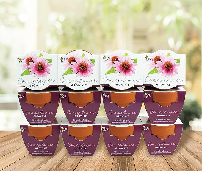 BUZZY Seeds Terracotta Mini Grow Pots | Herb, Flower Starter Kit - Image 6