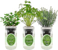 Hydroponic Growing Kit Set, Self-Watering Mason Jar Herb Garden Starter Kit by Environet