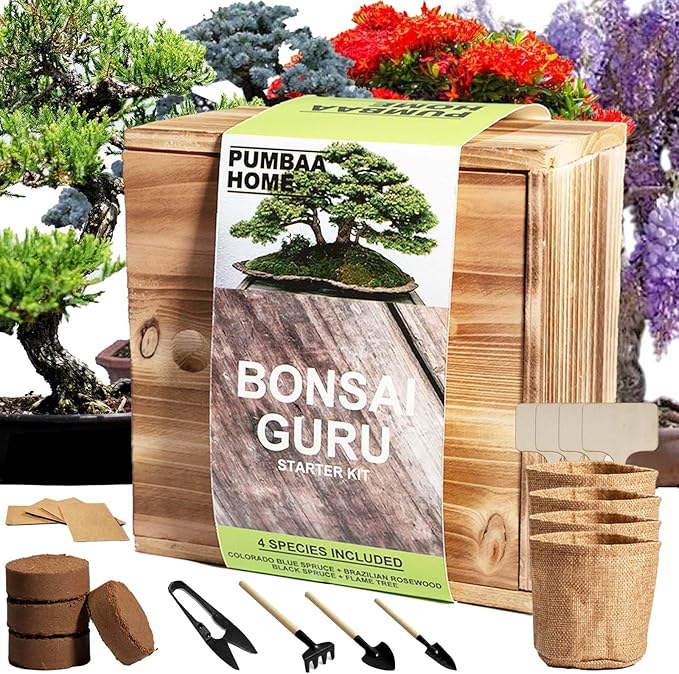 Bonsai Tree Kit with 4 Types of Seeds, Organic Coco Coir Bricks, Bonsai Pot by PUMBAAHOME