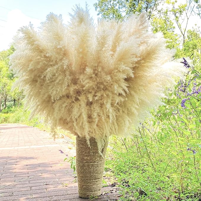 40" 22PCS Dried Pampas Grass Decor Tall, Large Natural Beige pompas Grass Tall by HUATEMEI