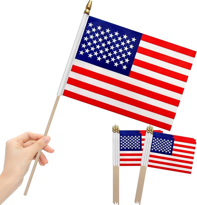 12Pcs 8×12 Inch Small American Flags on Stick Mini USA Flags US Handheld Flag by LoveVC