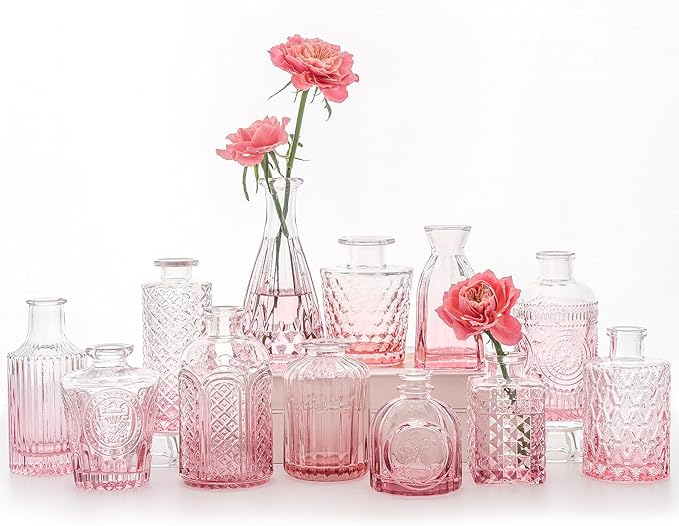 12Pcs Glass Bud Vase Set, Small Flower Vase by SUPMIND