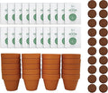 BUZZY Seeds Terracotta Mini Grow Pots | Herb, Flower Starter Kit by BUZZY