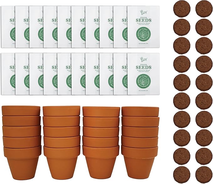 BUZZY Seeds Terracotta Mini Grow Pots | Herb, Flower Starter Kit by BUZZY