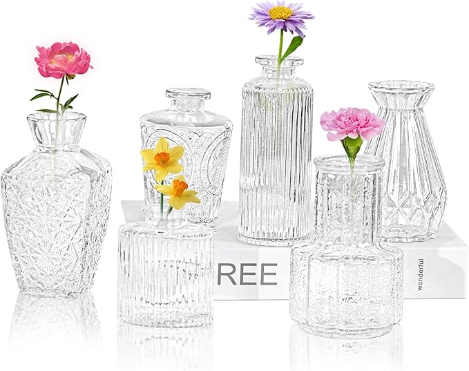 6Pcs Glass Bud Vase Set, Small Flower Vase by FEINIGESI