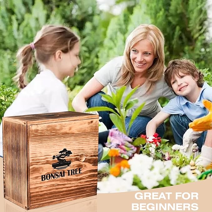 Bonsai Garden Starter Kit, 4 Seeds Growing into Sakura, Including Complete - Image 4