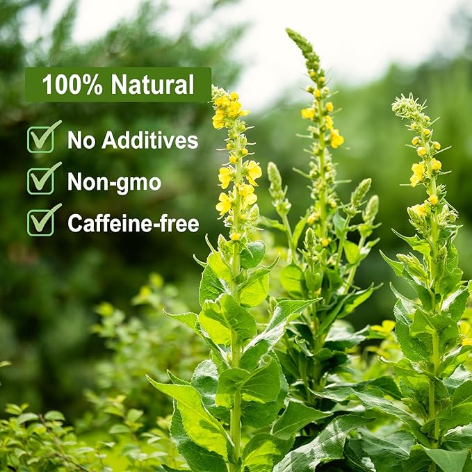 FullChea - Mullein Leaf Tea, 2.5oz/71g - Mullein tea - Image 3
