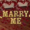 LED Marquee Letter Lights, Small Light Up Marquee MARRY ME Sign, Decorative LED by SKYPHAROS