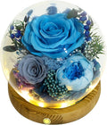 Valley of Rain & Forest Long-Lasting Real Flowers, Unique Floral Gift by ValleyofRainForest