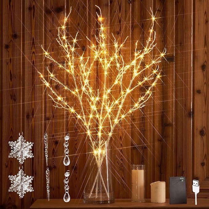Hairui Lighted Branches with Iredescent Glitter 120 Fairy Lights USB Plug in by Hairui