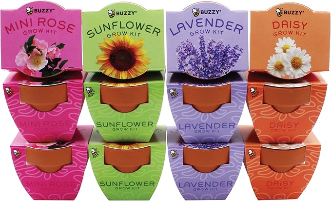 BUZZY Seeds Terracotta Mini Grow Pots | Flower Starter Kit - Image 2