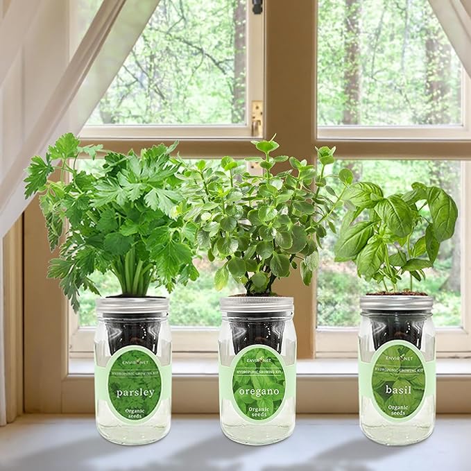 Hydroponic Herb Growing Kit Set, Self-Watering Mason Jar Herb Garden Starter - Image 2