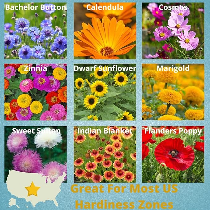 Camas- Pollinator Wildflower Seed Packets - Image 4