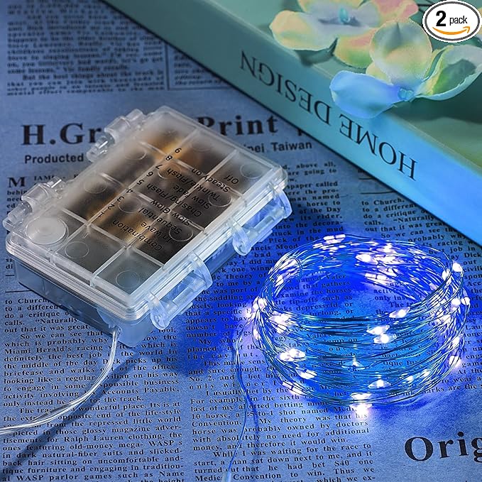2 Pack 65.6 Ft. Battery Operated Outdoor String Lights by Ariceleo