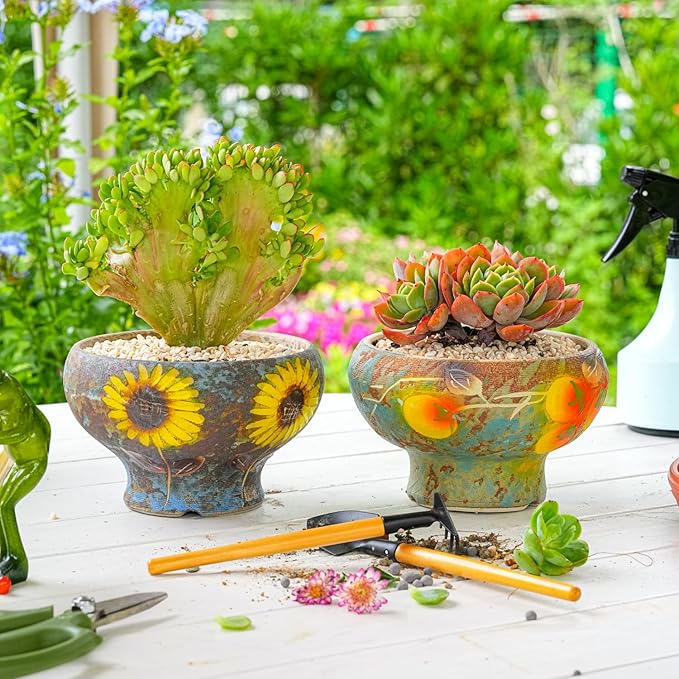 Sungmor Small Succulent Planters Set of 2, Beautiful Hand Crafted Ceramic Plant - Image 3