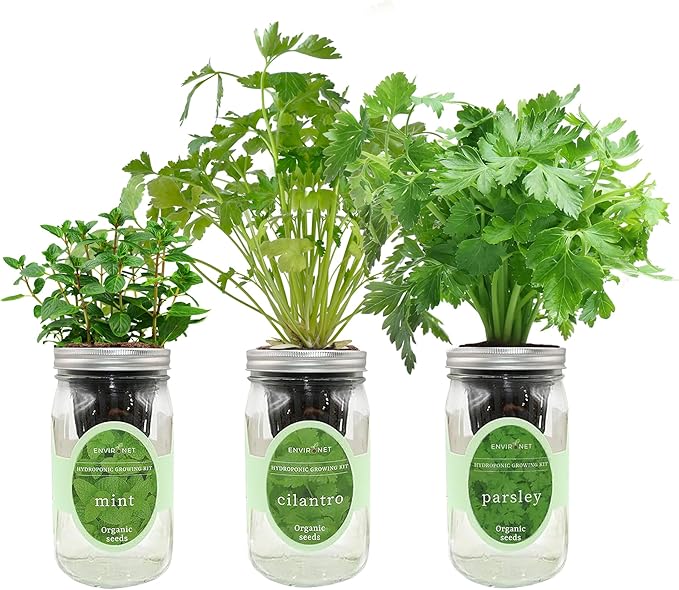 Hydroponic Herb Growing Kit Set, Self-Watering Mason Jar Herb Garden Starter by Environet