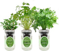 Hydroponic Herb Growing Kit Set, Self-Watering Mason Jar Herb Garden Starter by Environet