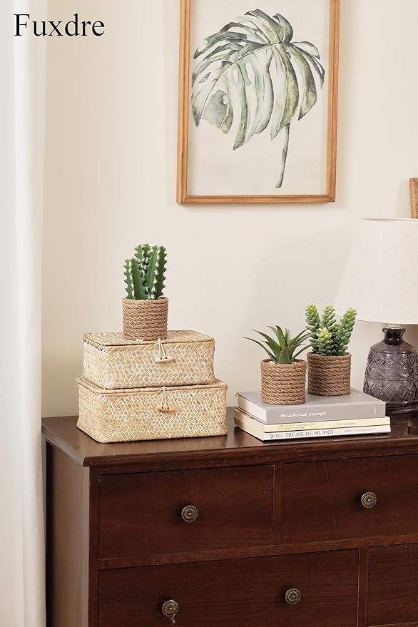 3-Pack Artificial Succulent Plants in Vintage Plastic Pots - Image 5