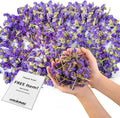 Dried Flower Forget Me Not Biodegradable Confetti by JAPJA