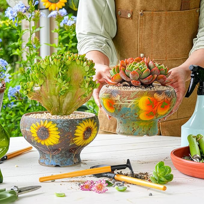 Sungmor Small Succulent Planters Set of 2, Beautiful Hand Crafted Ceramic Plant - Image 2