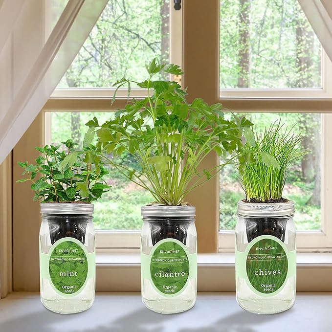 Hydroponic Herb Growing Kit Set, Self-Watering Mason Jar Herb Garden Starter - Image 5