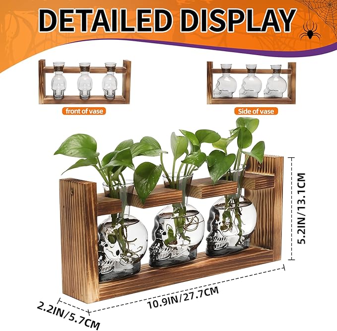Plant Terrarium Propagation Stations Hydroponics Halloween Skull Planter Vase - Image 3