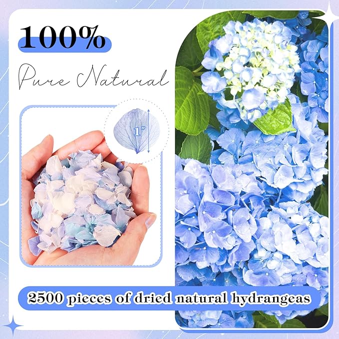 VAIPI 2500 PCS Hydrangea Petals 100% Natural Real Flower Petals - Image 2