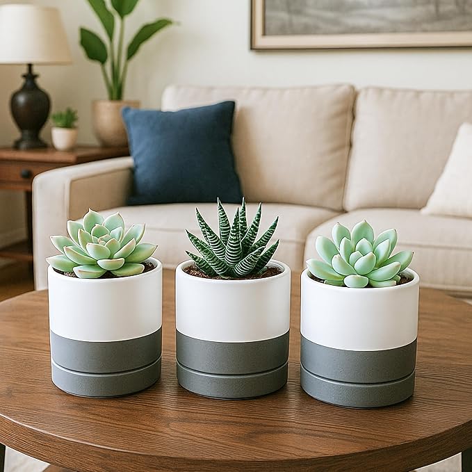 D'vine Dev Set of 4 Small Ceramic Plant Pots, 3.5 Inch Succulent Planter Pot - Image 5