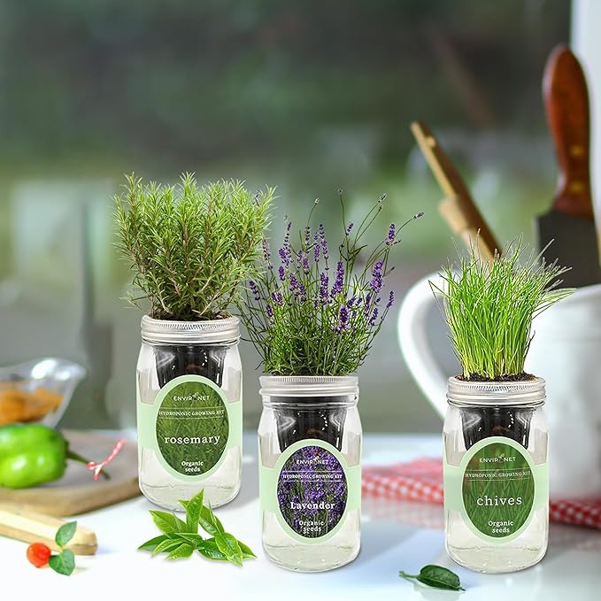 Hydroponic Herb Growing Kit Set, Self-Watering Mason Jar Herb Garden Starter - Image 4