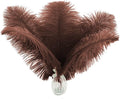Ballinger Brown Big Ostrich Feathers by Ballinger